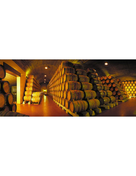 Luis Cañas Gran Reserva, 15