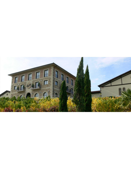 Luis Cañas Gran Reserva, 15