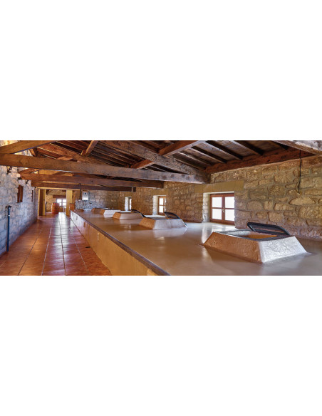 Amaren Malvasía, 21