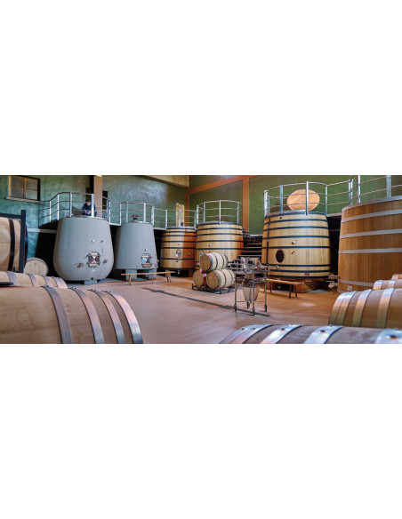 Amaren Malvasía, 21