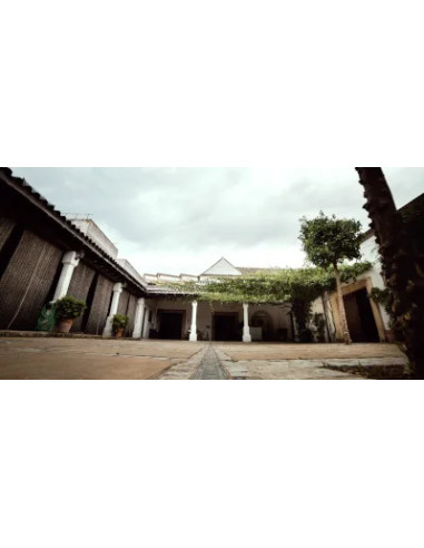 Oloroso Piñeiro V.O.R.S. 30 años 50cl