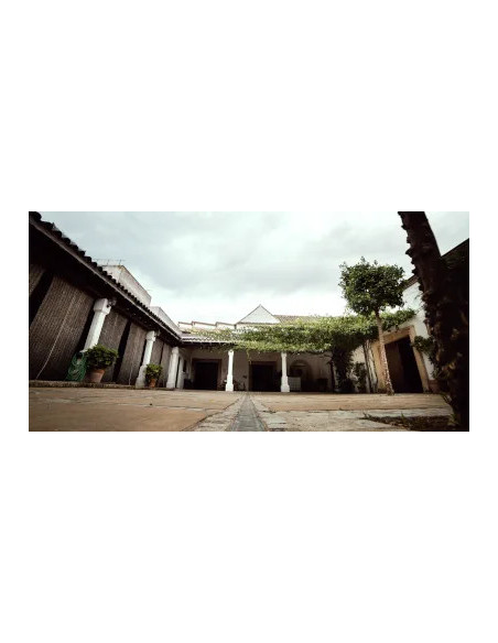 Amontillado VORS Juan Piñero bot 50cl