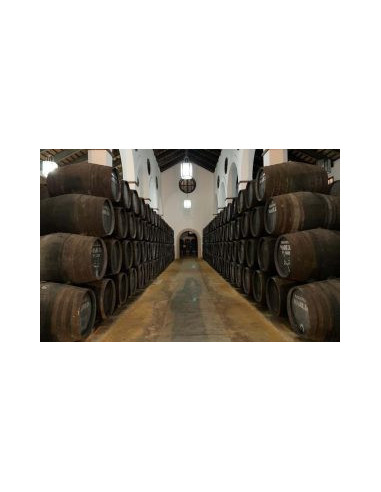 Amontillado VORS Juan Piñero bot 50cl