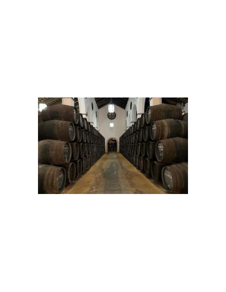 Amontillado VORS Juan Piñero bot 50cl