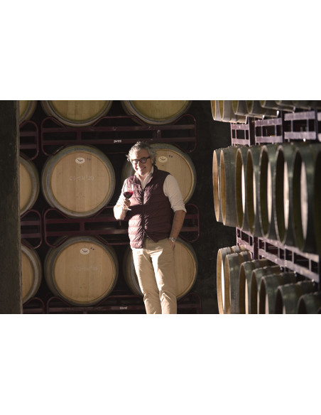 Enrique Mendoza Chardonnay Fermentado en Barrica, 21