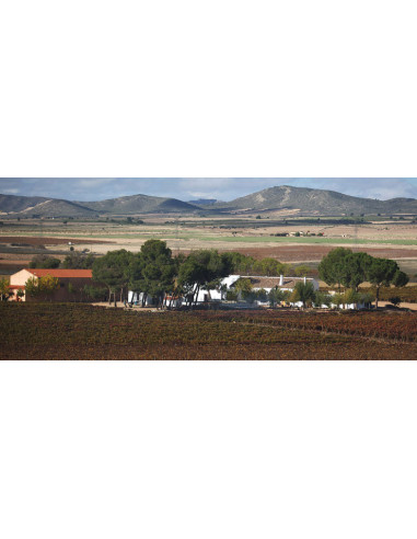 Enrique Mendoza Chardonnay Fermentado en Barrica, 21