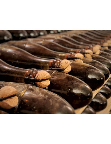 Celler Kripta Gran Reserva