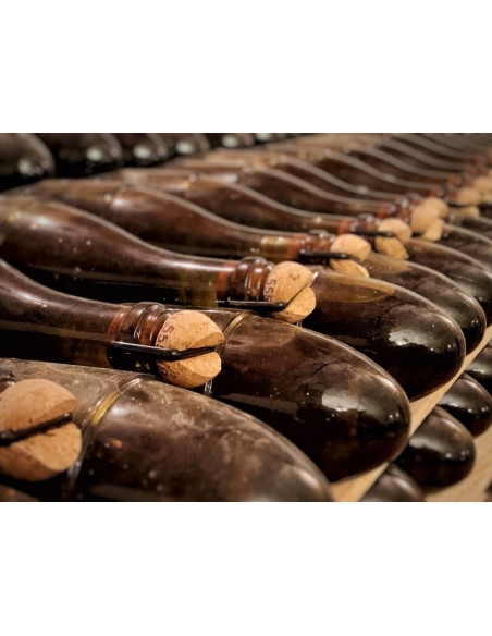 Celler Kripta Gran Reserva