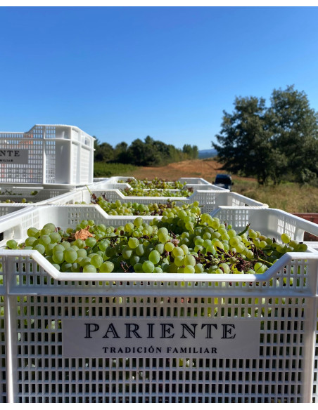 Viognier de Prieto Pariente, 19