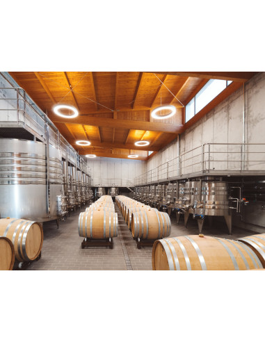 Viognier de Prieto Pariente, 19