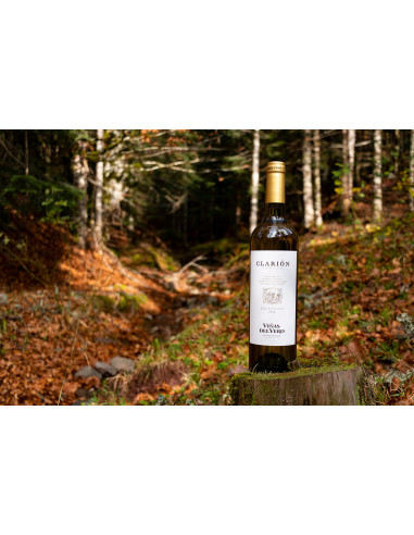 Viñas del Vero Clarión, 20