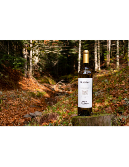 Viñas del Vero Clarión, 20