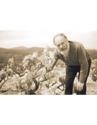 José Pariente 25 años