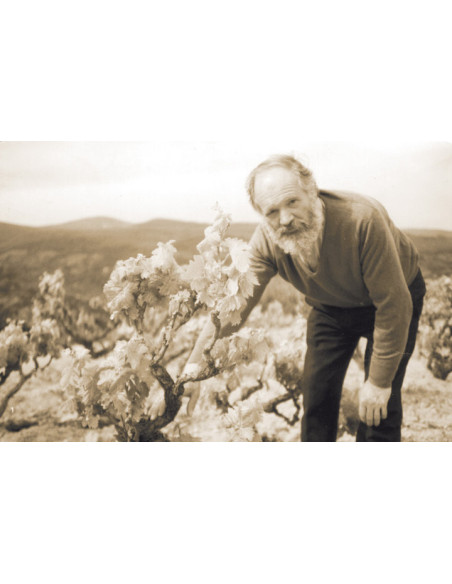 José Pariente 25 años