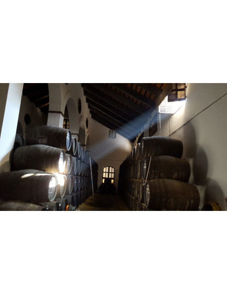 Manzanilla Pasada Maruja