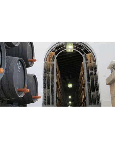 Manzanilla Pasada Maruja