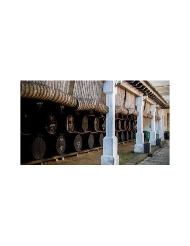 Manzanilla Pasada Maruja