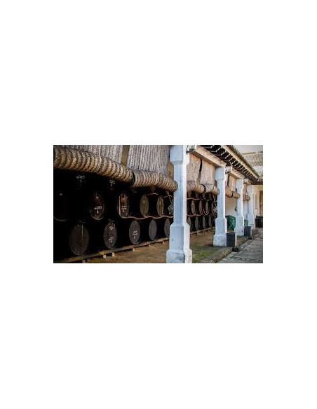 Manzanilla Pasada Maruja