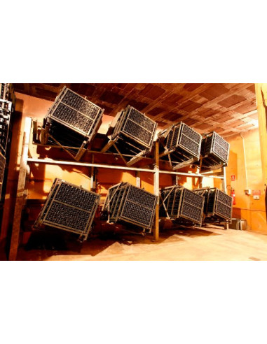 Celler Kripta Icónic Gran Reserva