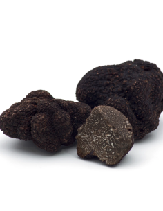 Trufa Tuber Melanosporum 150gr