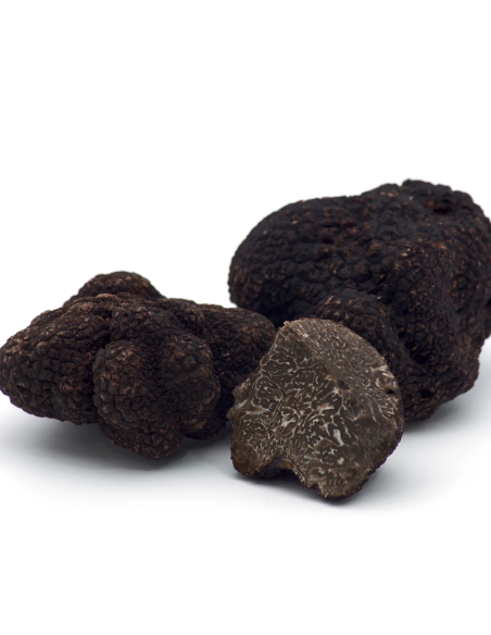 Trufa Tuber Melanosporum 150gr