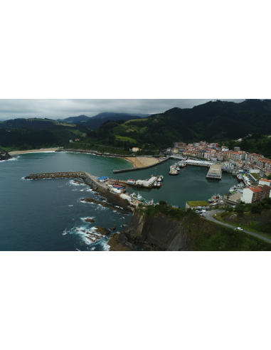 Anchoas 00 “Hansa” de Yurrita