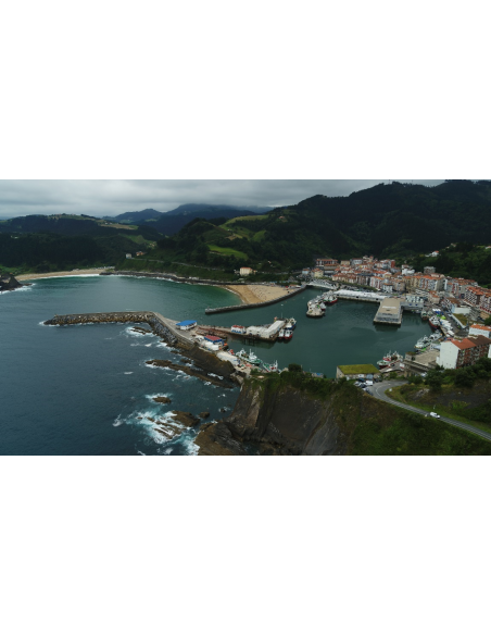 Anchoas 00 “Hansa” de Yurrita